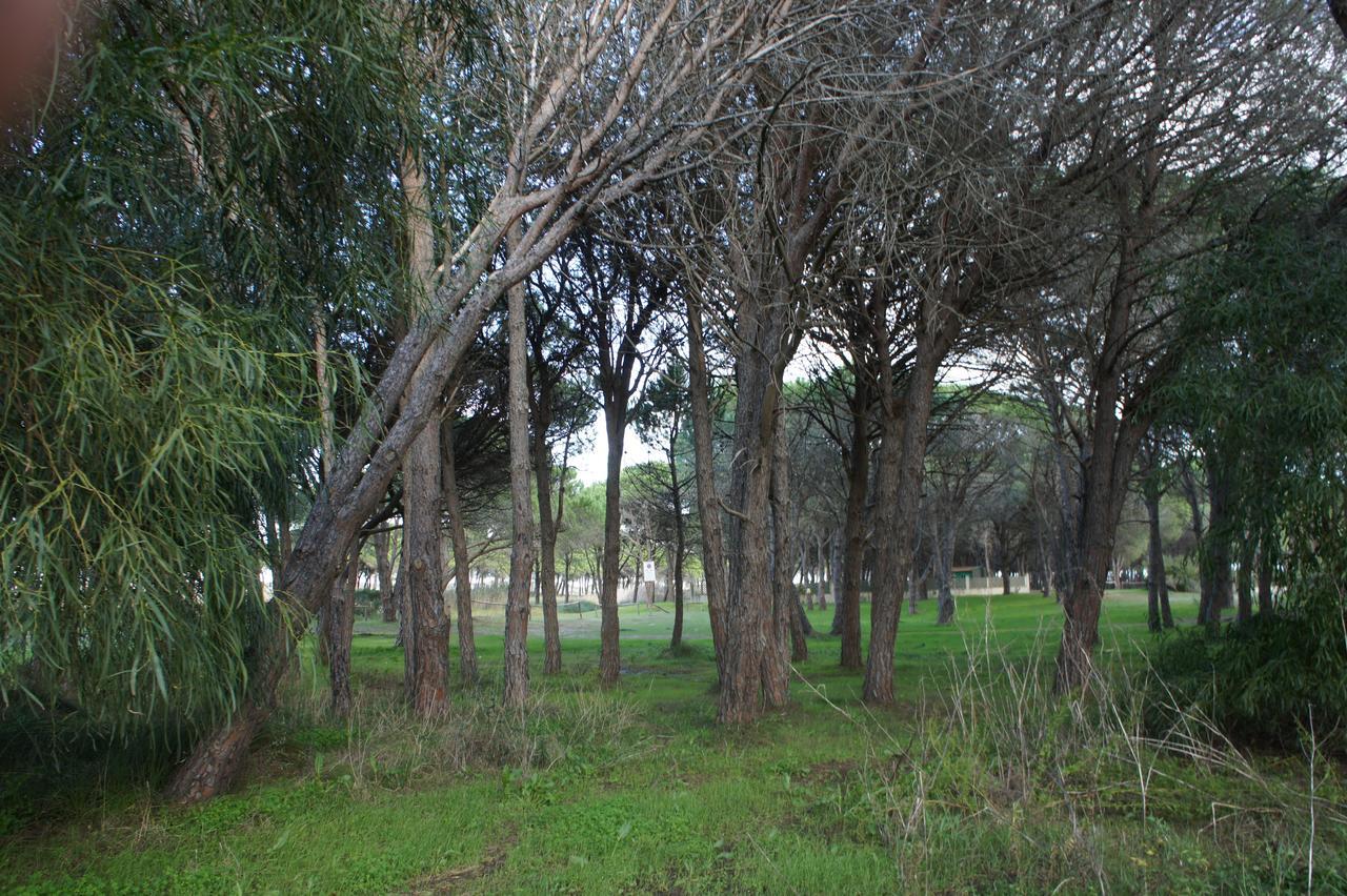 Locanda FarOrientale Bed and Breakfast Santa Lucia  Esterno foto